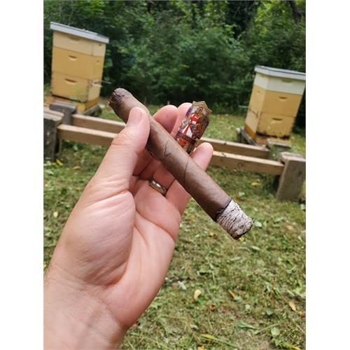 Ave Maria Lionheart 5 1/2 * 54