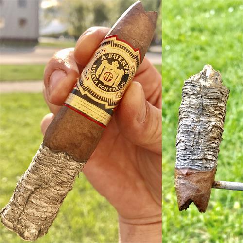 Arturo Fuente Don Carlos Eye of the Shark 5 3/4 * 52