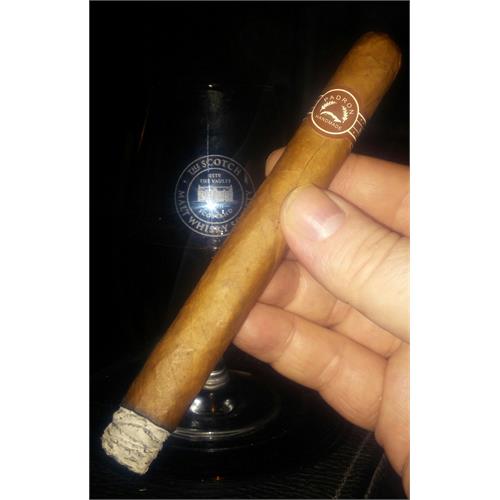 Padron Series Londres Natural 5 1/2 * 42
