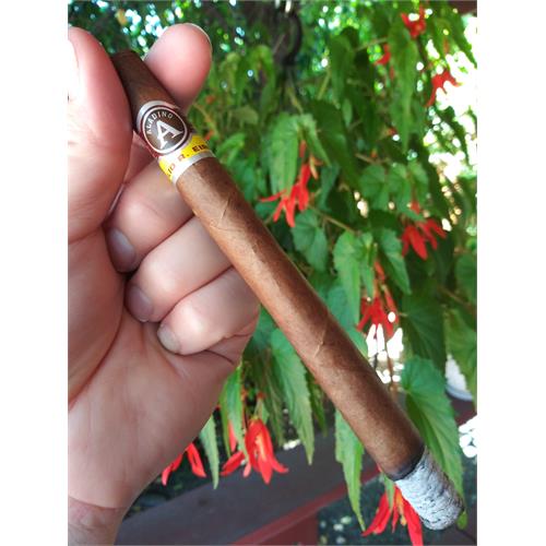 Aladino Elegante 7  * 38