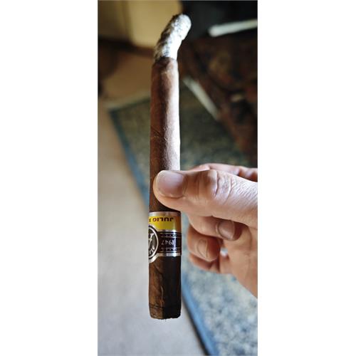 Aladino Elegante 7  * 38