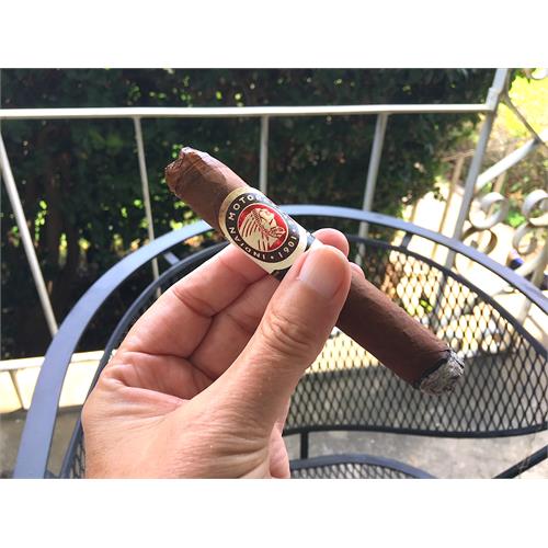 Indian Motorcycle Habano Robusto 5  * 50