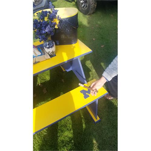 Padron Series Magnum Maduro 9  * 50