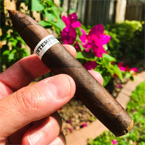 RoMa Craft Intemperance BA XXI Envy 5  * 50