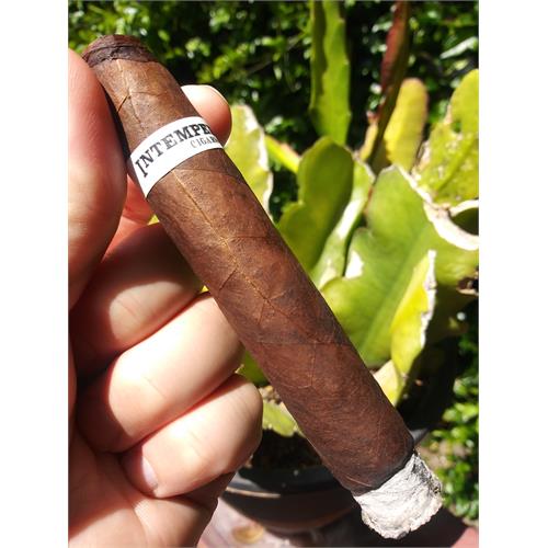 RoMa Craft Intemperance BA XXI Ambition 5 1/2 * 54