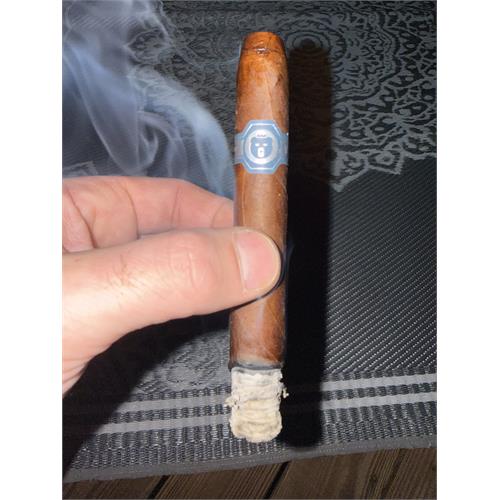 Warped El Oso Papa 6  * 48