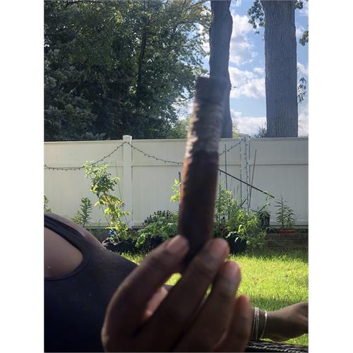 Gran Habano Persian King Maduro Tiger 6  * 60