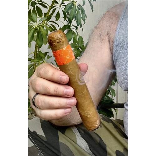 Asylum 13 Connecticut 770 7  * 70