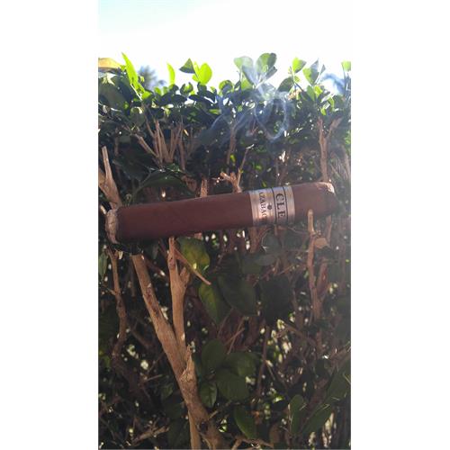 CLE Azabache Toro 6  * 54