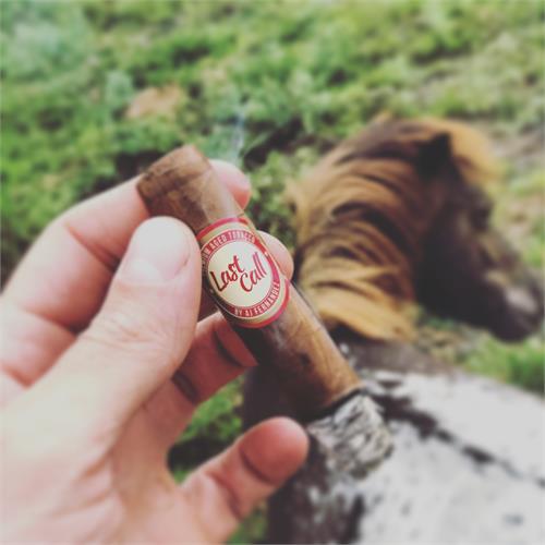 AJ Fernandez Last Call Habano Geniales 4 1/2 * 48