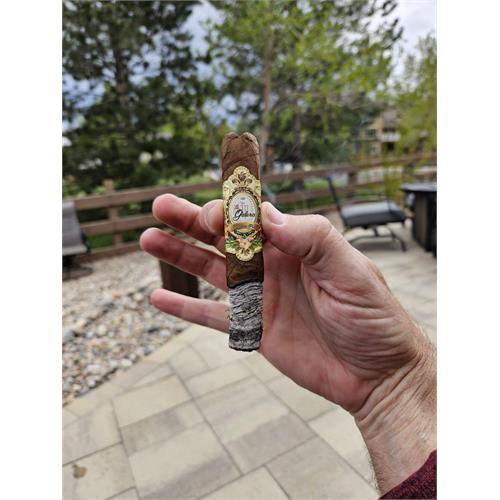 La Galera 1936 Box Pressed Chaveta Robusto 5  * 50