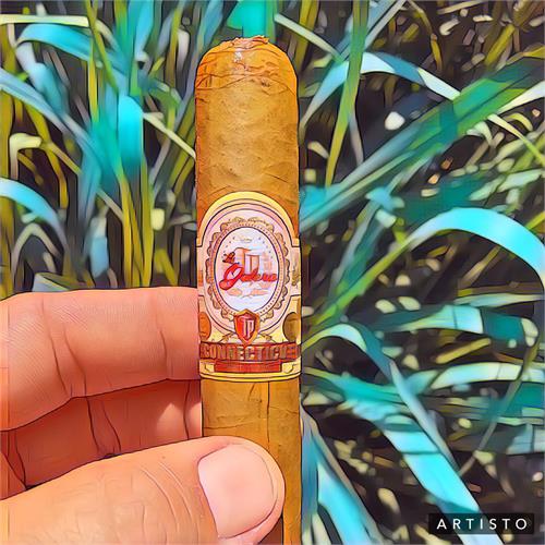 La Galera Connecticut El Lector Toro 6  * 54