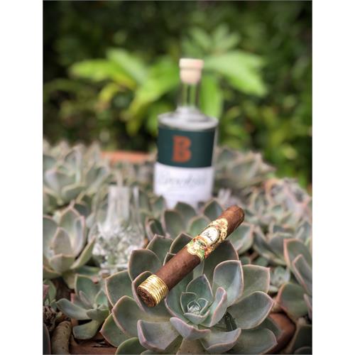 La Galera Habano Chaveta Robusto 5  * 50