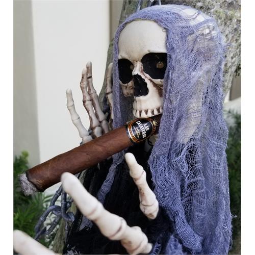 Las Calaveras Edicion Limitada 2017 LC50 5  * 50