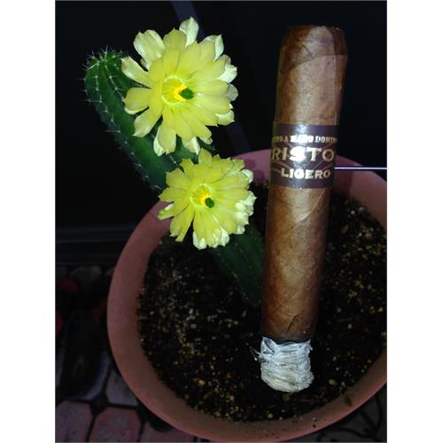 Kristoff Medium Bold Spice 4-Cigar Sampler