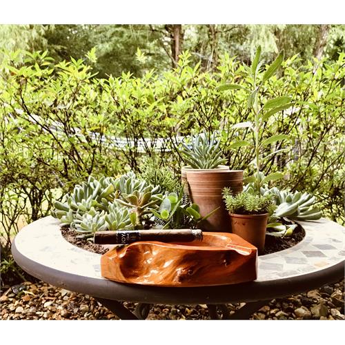 Joya Black Nocturno 6 1/4 * 46