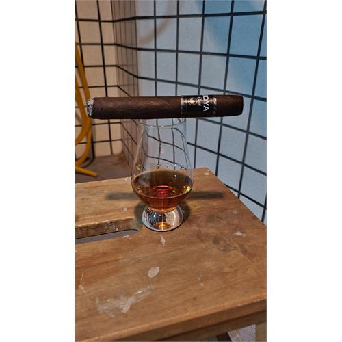 Joya Black Toro 6  * 52