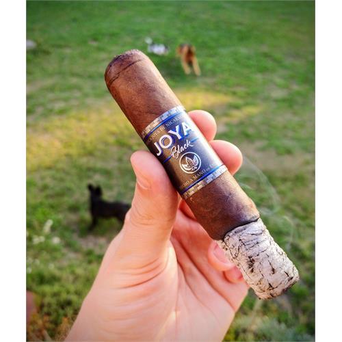 Joya Black Doble Robusto 5  * 56