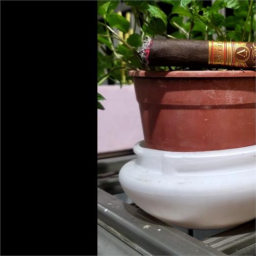 Oliva Serie V Melanio Maduro Robusto 5  * 52