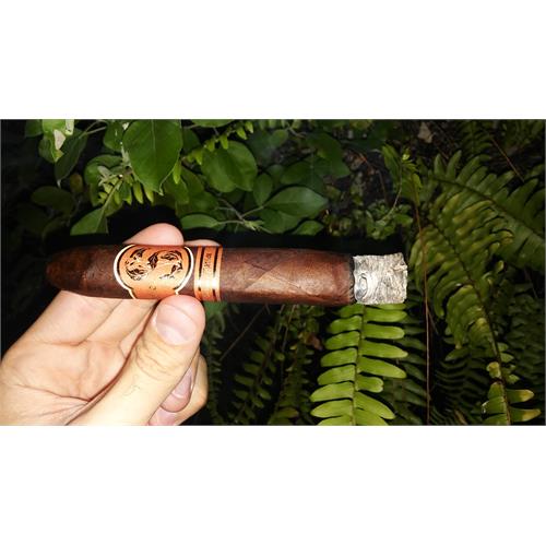 Matilde Quadrata Torpedo 6  * 52