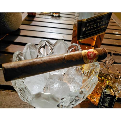Iconic Brand Assortment, 9-Cigar Sampler