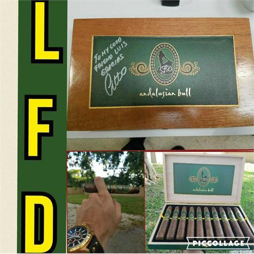 La Flor Dominicana Andalusian Bull 6 1/2 * 64