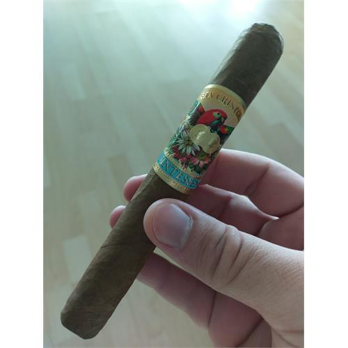 San Cristobal Quintessence Epicure 6  * 52