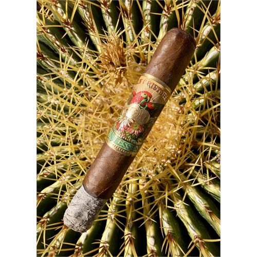 San Cristobal Quintessence Epicure 6  * 52