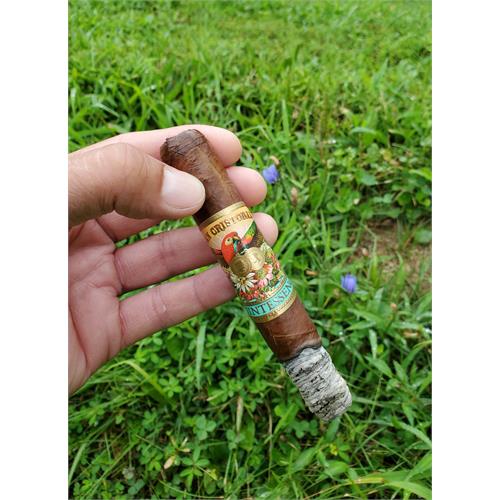 San Cristobal Quintessence Robusto 5 1/2 * 50