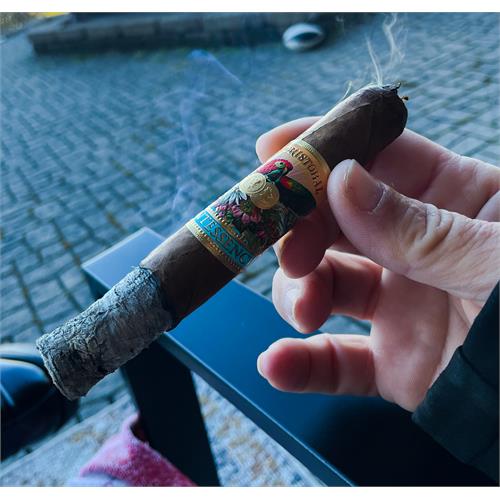 San Cristobal Quintessence Robusto 5 1/2 * 50