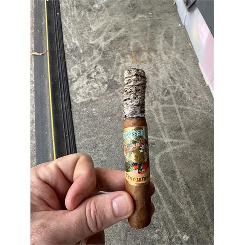 San Cristobal Quintessence Robusto 5 1/2 * 50