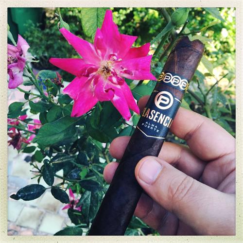 Plasencia Alma Fuerte Nestor IV Toro 6 1/4 * 54