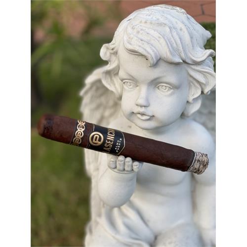 Plasencia Alma Fuerte Nestor IV Toro 6 1/4 * 54