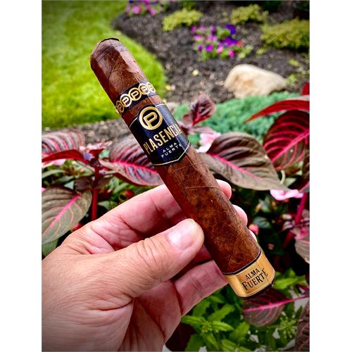 Plasencia Alma Fuerte Sixto II Hexagon 6  * 60