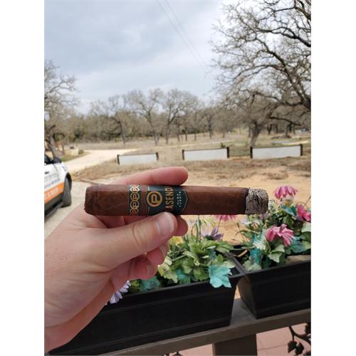 Plasencia Alma Fuerte Sixto II Hexagon 6  * 60