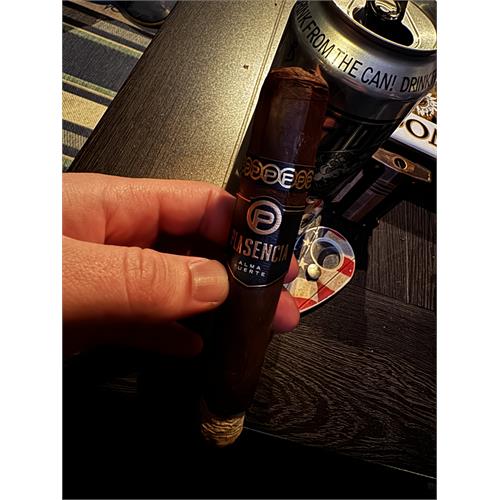 Plasencia Alma Fuerte Sixto II Hexagon 6  * 60