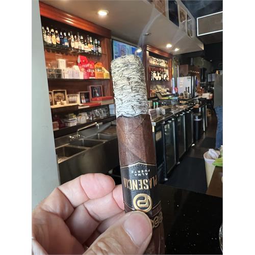 Plasencia Alma Fuerte Sixto II Hexagon 6  * 60