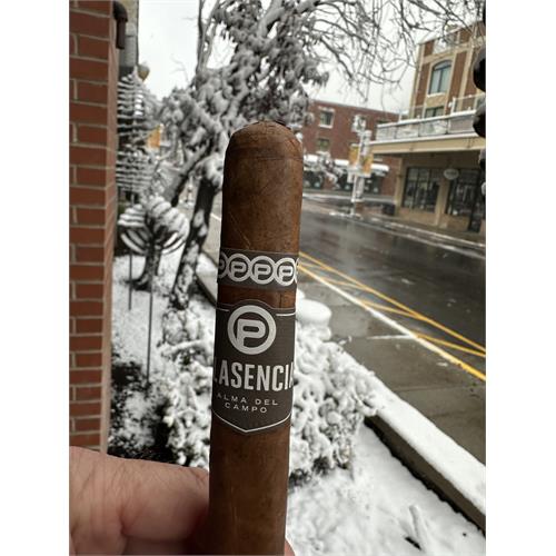 Plasencia Alma Fuerte Sixto II Hexagon 6  * 60