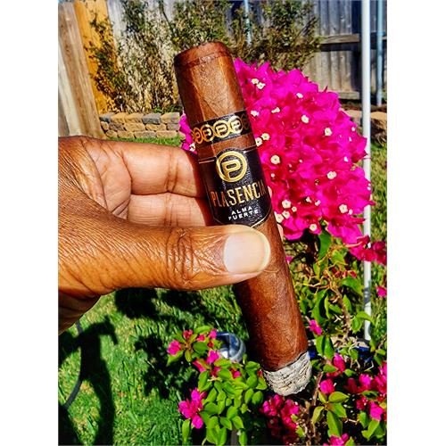 Plasencia Alma Fuerte Sixto II Hexagon 6  * 60