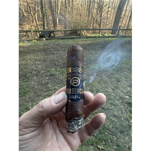 Plasencia Alma Fuerte Sixto II Hexagon 6  * 60