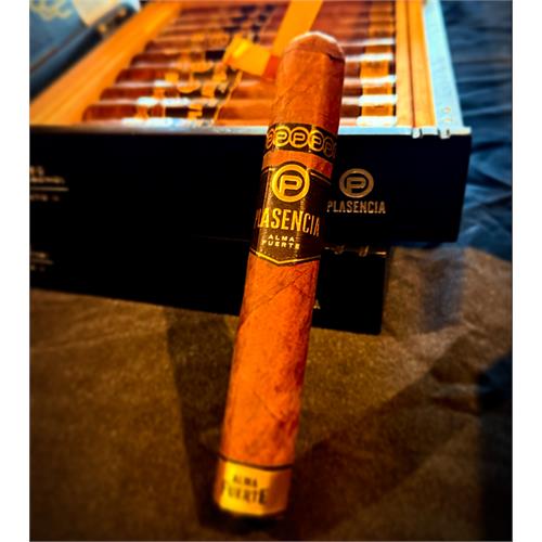 Plasencia Alma Fuerte Sixto II Hexagon 6  * 60