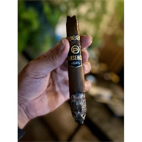 Plasencia Alma Fuerte Generacion V Salomon 7  * 58