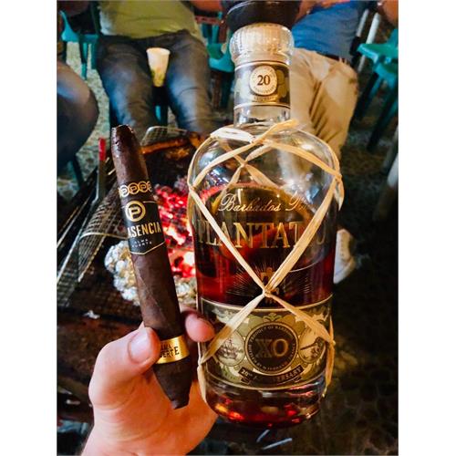 Plasencia Alma Fuerte Generacion V Salomon 7  * 58