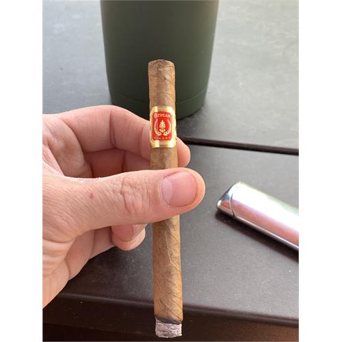 Espinosa Azucar Canita Mini 5  * 30