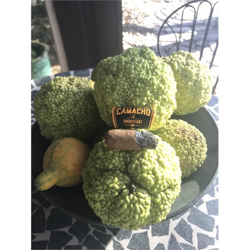 Camacho Connecticut BXP Toro 6  * 50