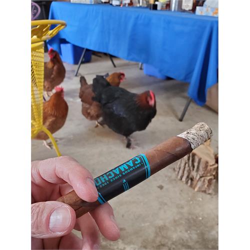 Camacho Ecuador BXP Toro 6  * 50
