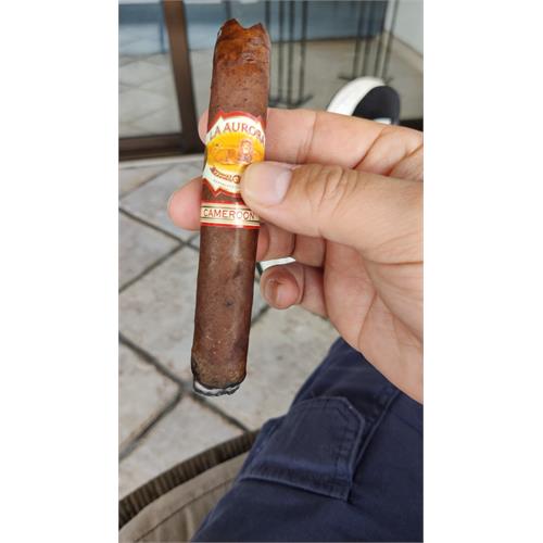 La Aurora 1903 Cameroon Robusto 5  * 50