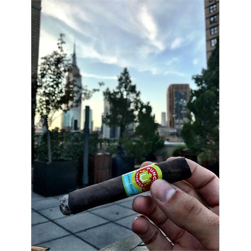 Punch Gran Puro Nicaragua Robusto 4 7/8 * 48