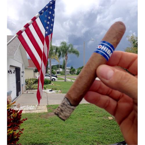 Cohiba Blue Robusto 5 1/2 * 50