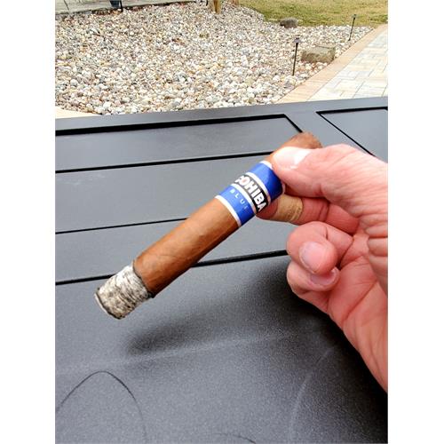 Cohiba Blue Robusto 5 1/2 * 50